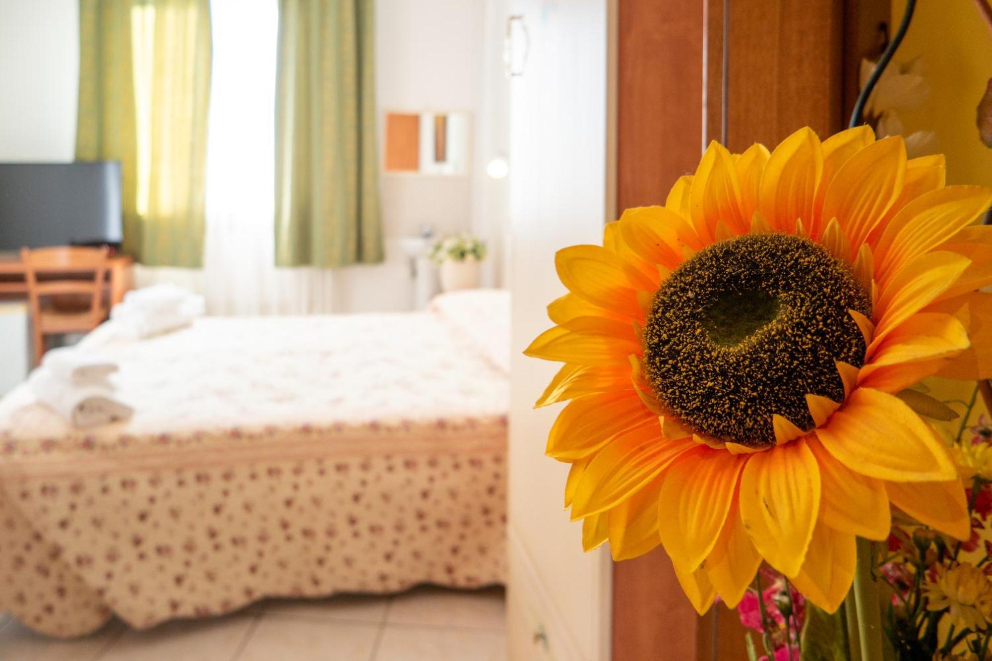 B&B New Aurora Venice Marghera Exterior photo